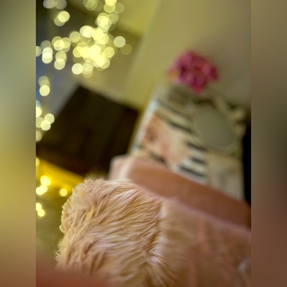 👛Deco women’s room or esthetic business 💅🏽 - Picture 3 of 3